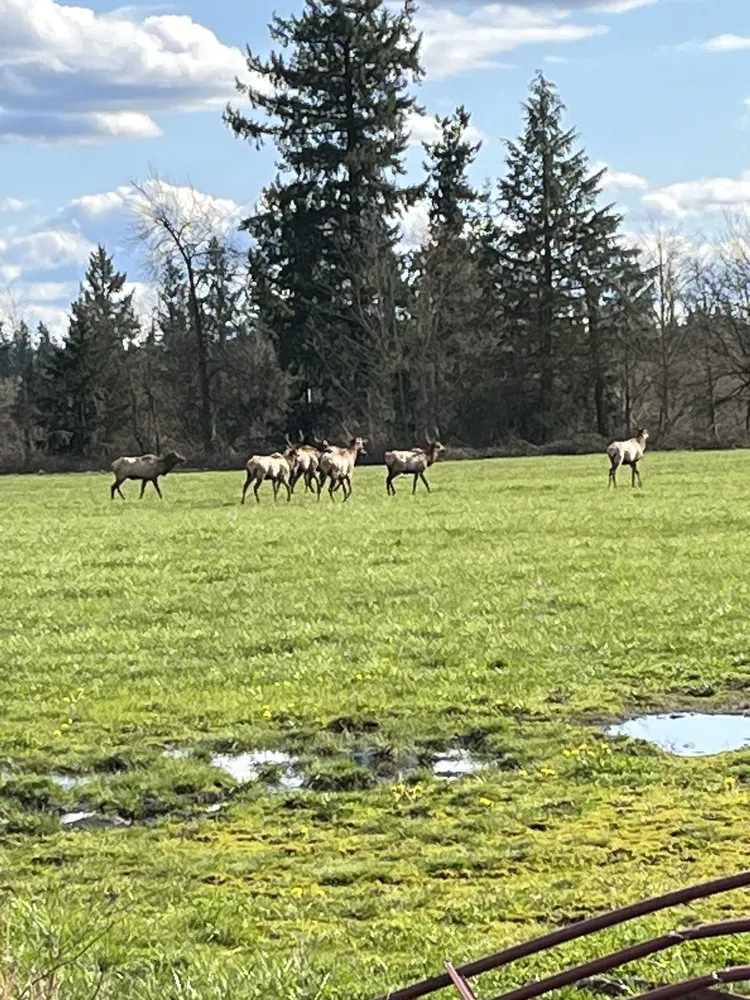 Slide of Able Air Heating & Cooling