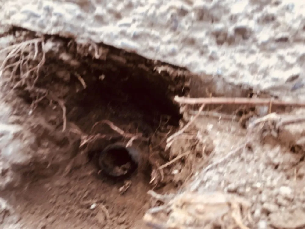 Slide of Above All Quality