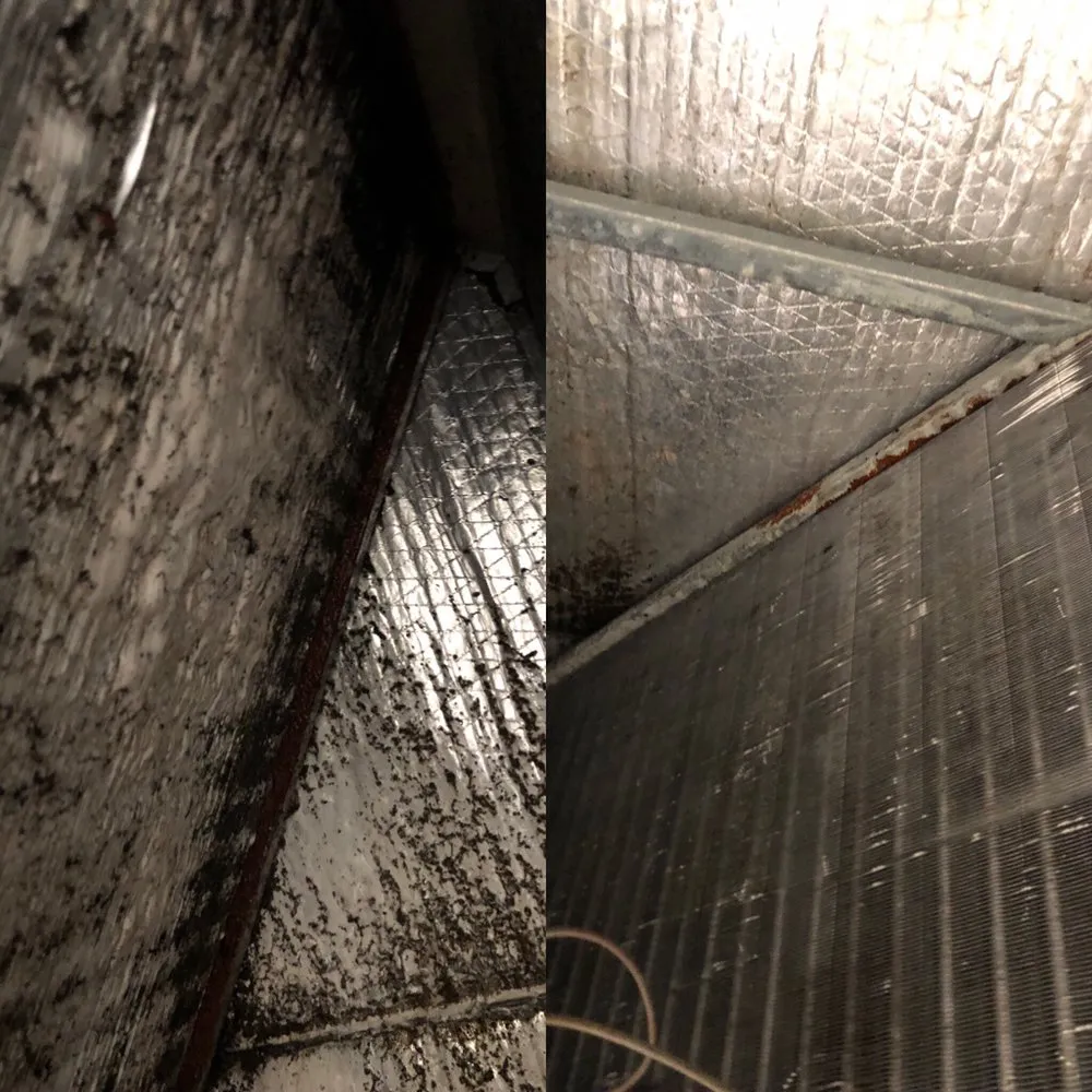 Slide of Absolute AC Services