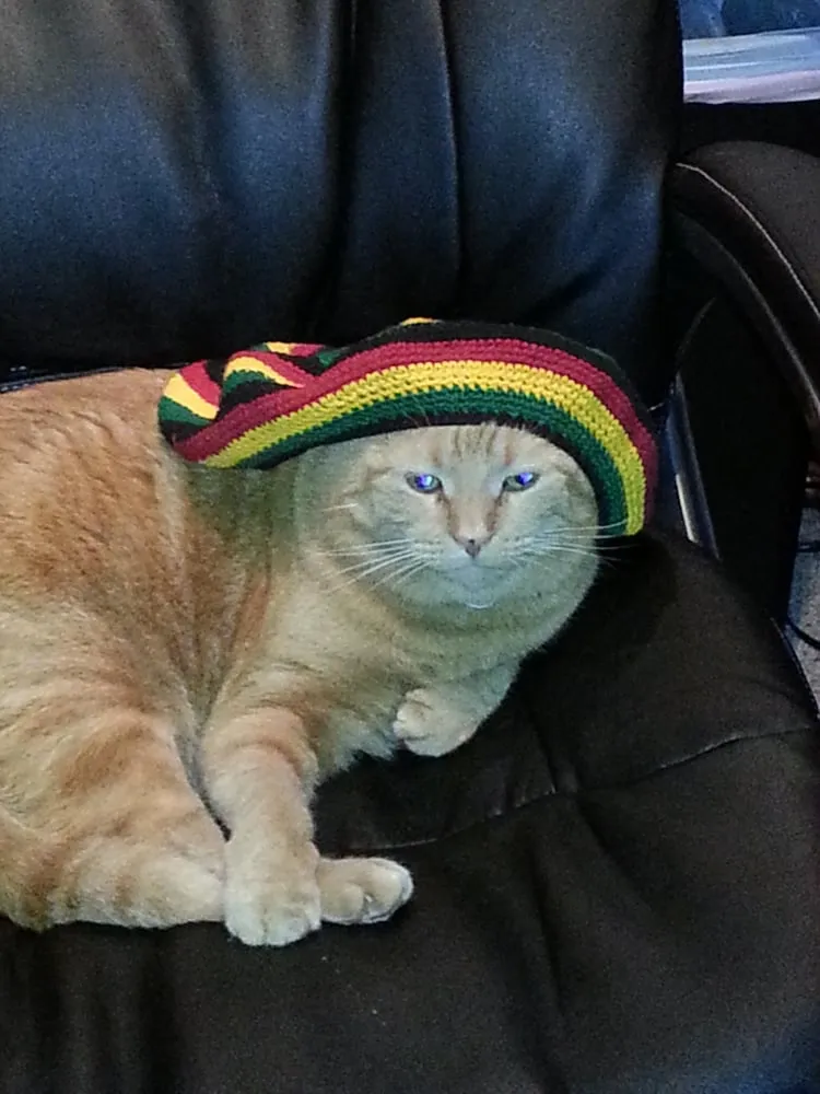 Slide of Absolute Air