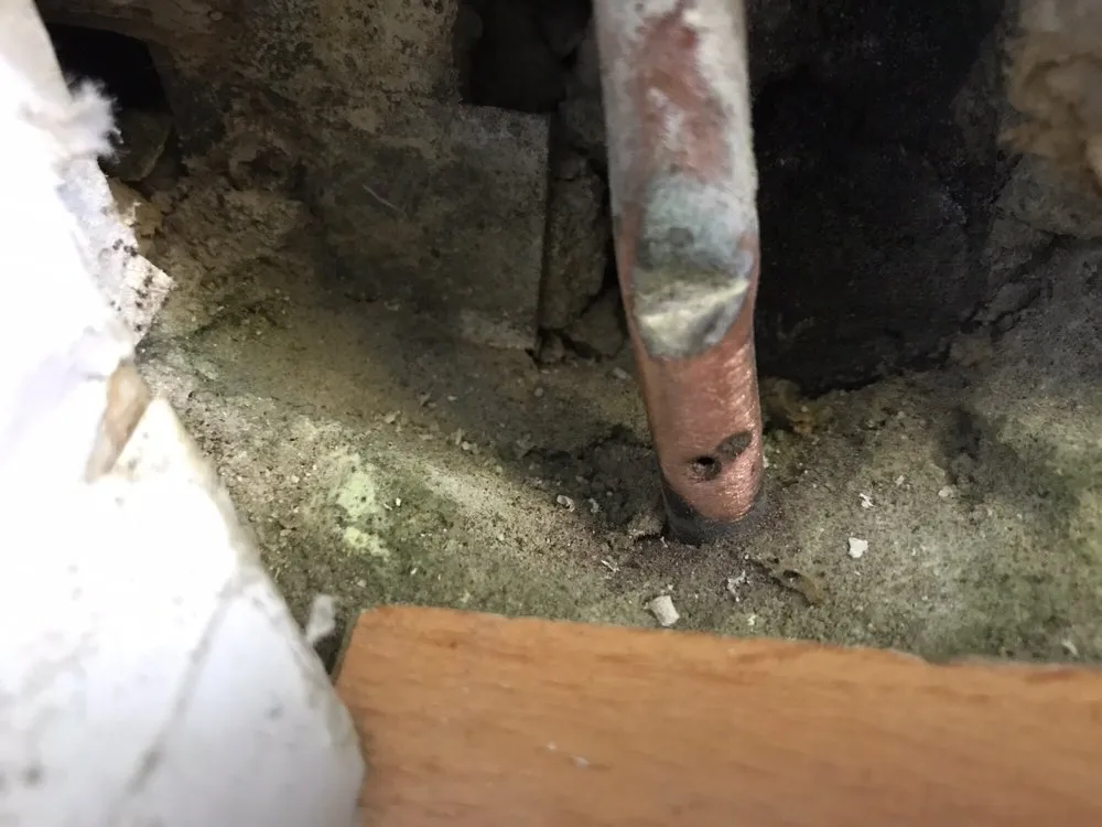 Slide of Absolute Best