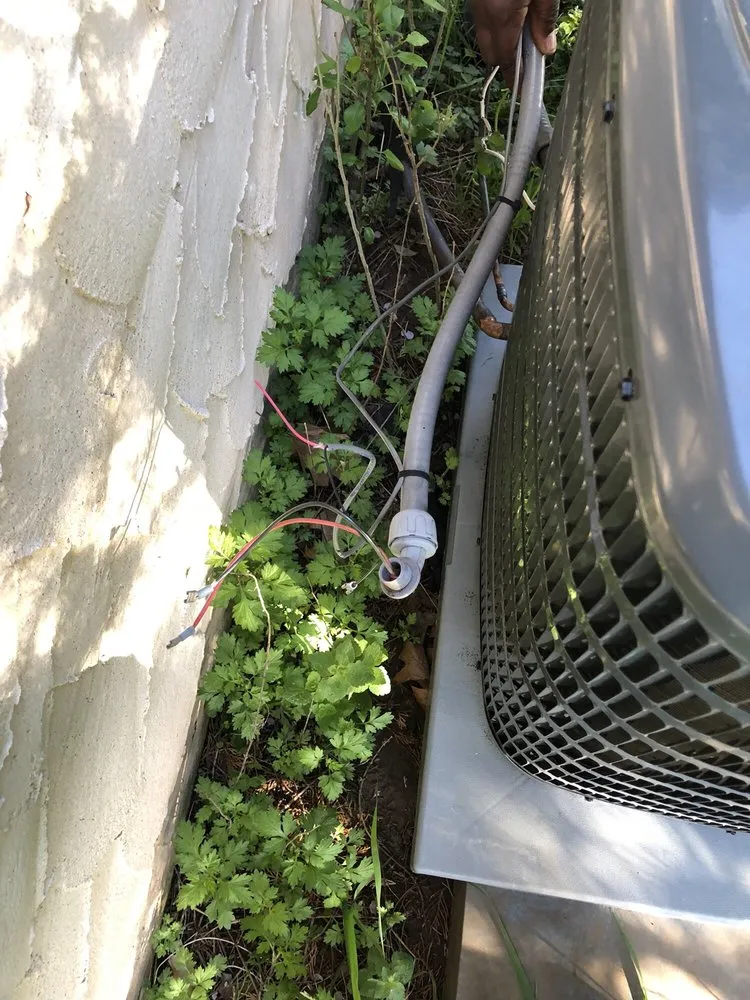 Slide of Absolute Comfort and Son