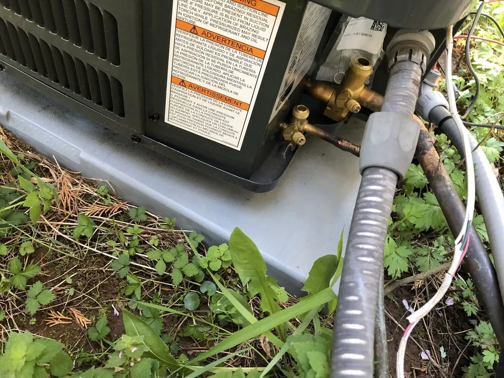 Slide of Absolute Comfort and Son