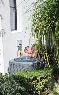 Absolute Comfort Heating & Air Conditioning Logo