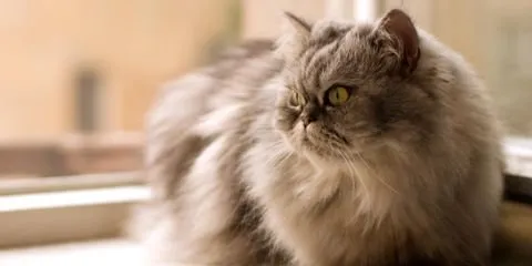 Slide of Absolute Comfort Heating and Air Conditioning