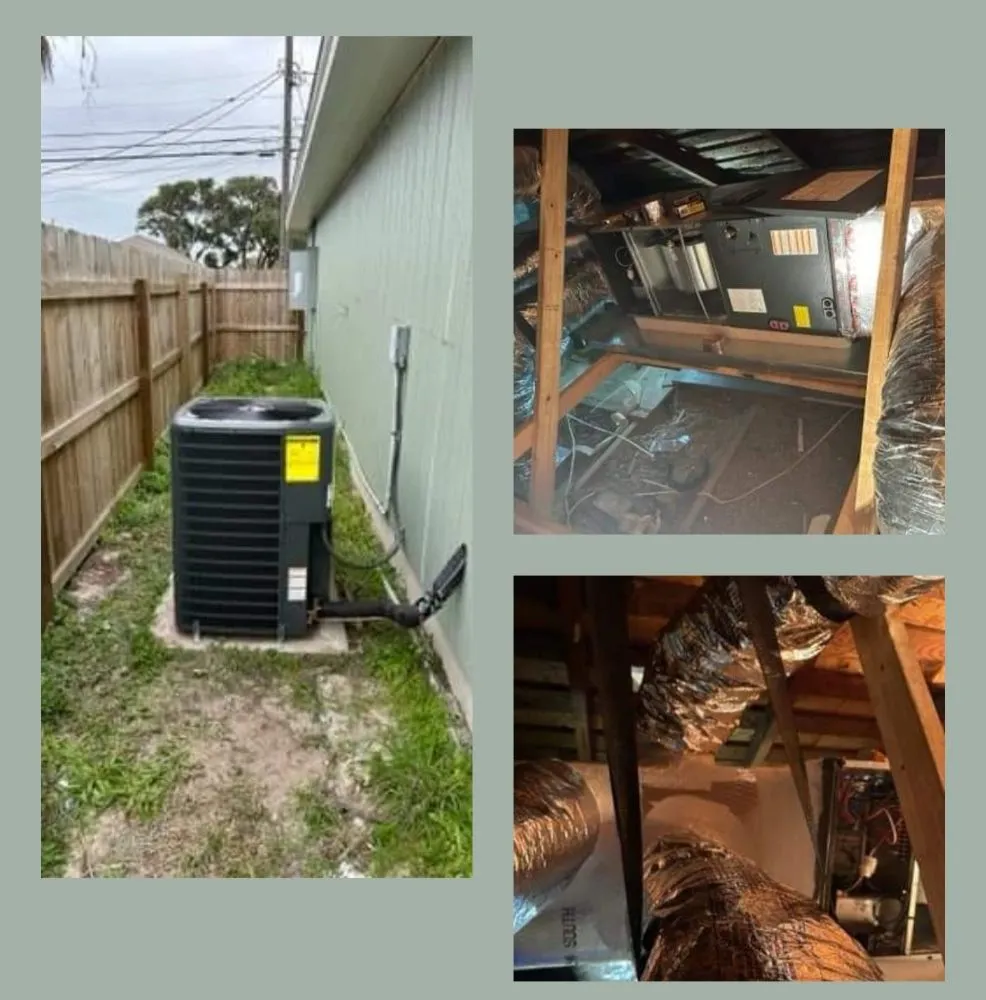 Slide of Absolute Consulting