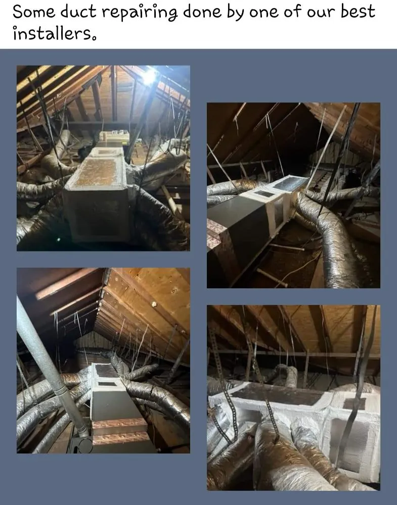 Slide of Absolute Consulting