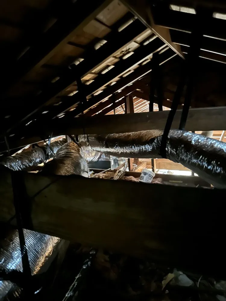 Slide of Absolute Cool and Heat