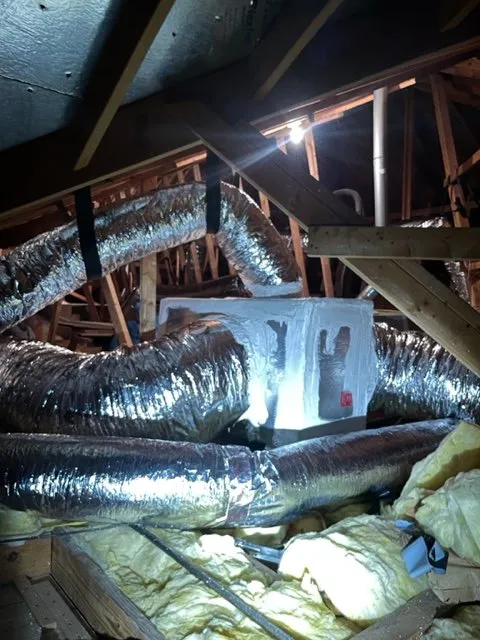 Slide of Absolute Cool and Heat