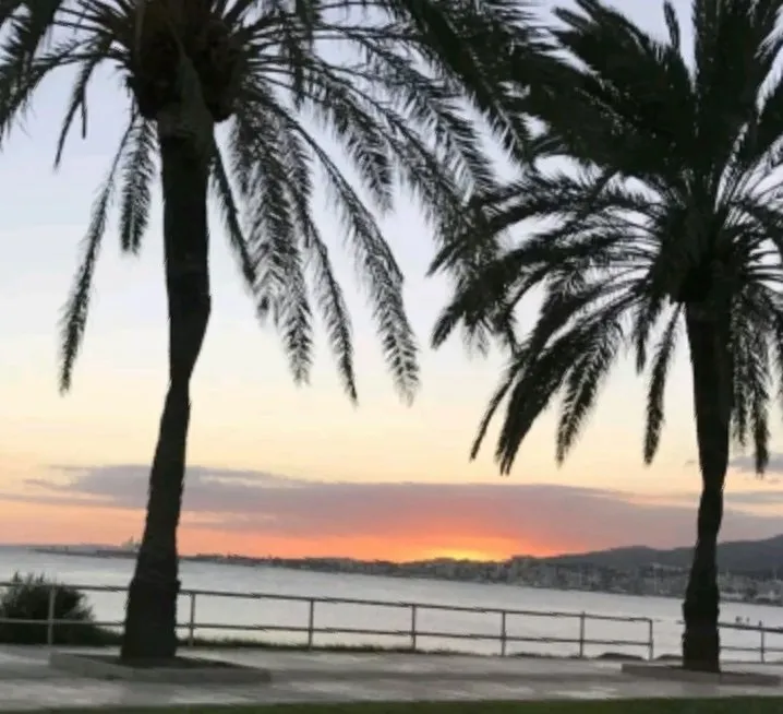 Slide of Absolute Home Services