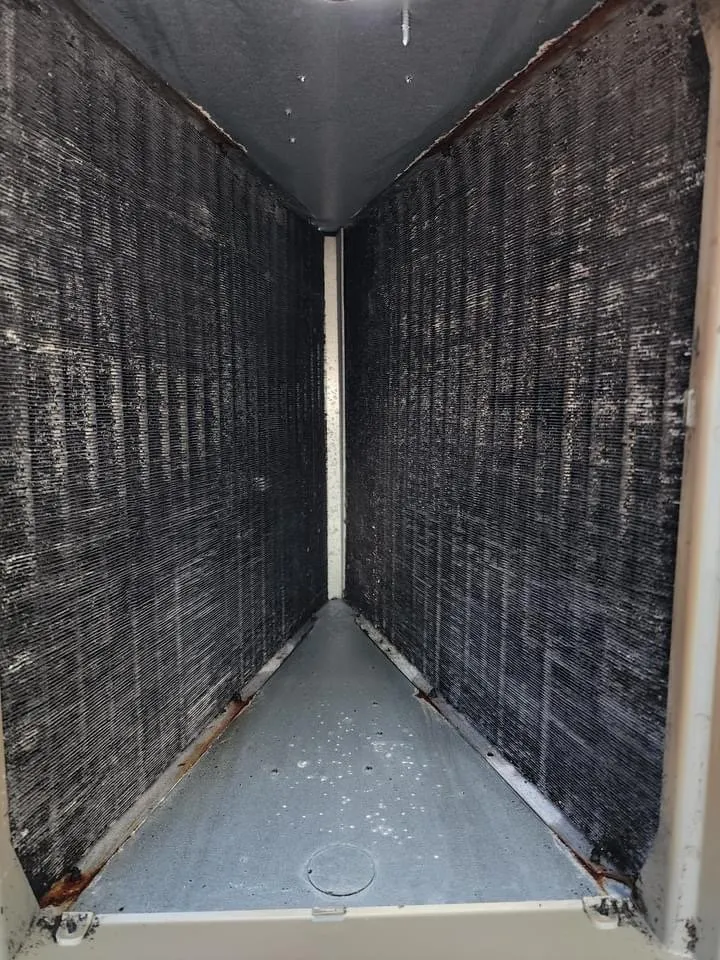 Slide of AC All Stars