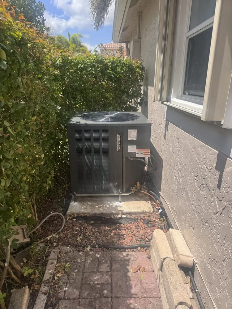 Slide of Ac all stars