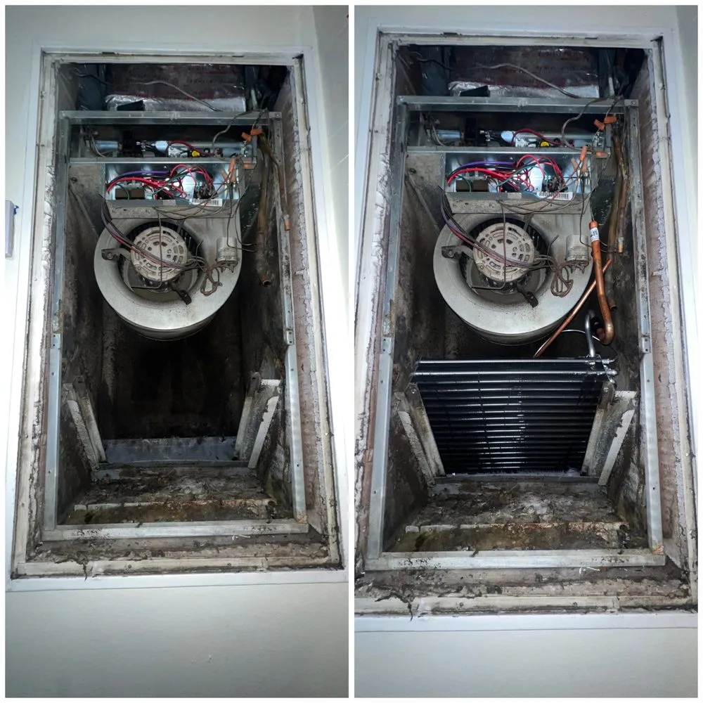 Slide of AC All Stars Ernst