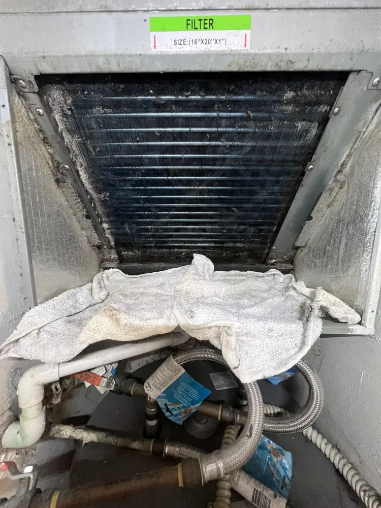 Slide of AC All Stars Ernst