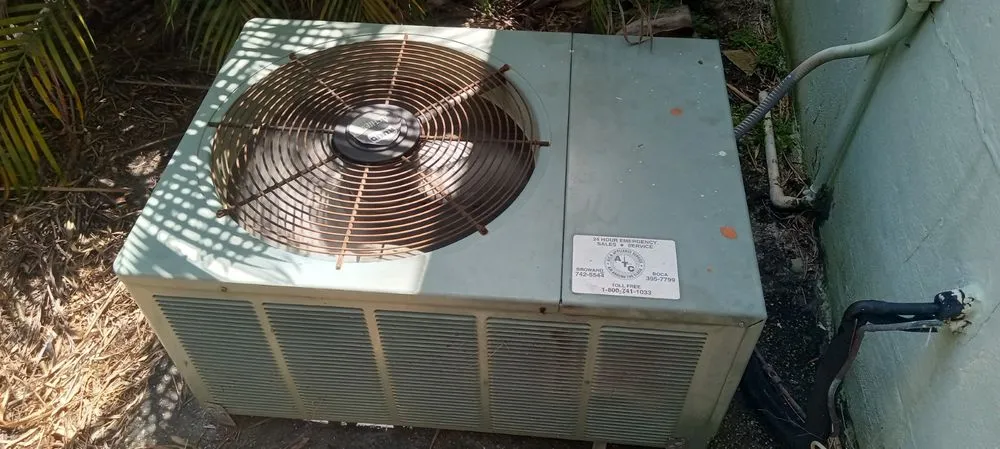 Slide of AC All Stars Ernst