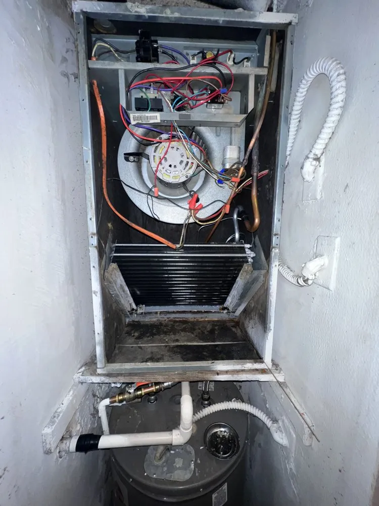 Slide of AC All Stars Ernst