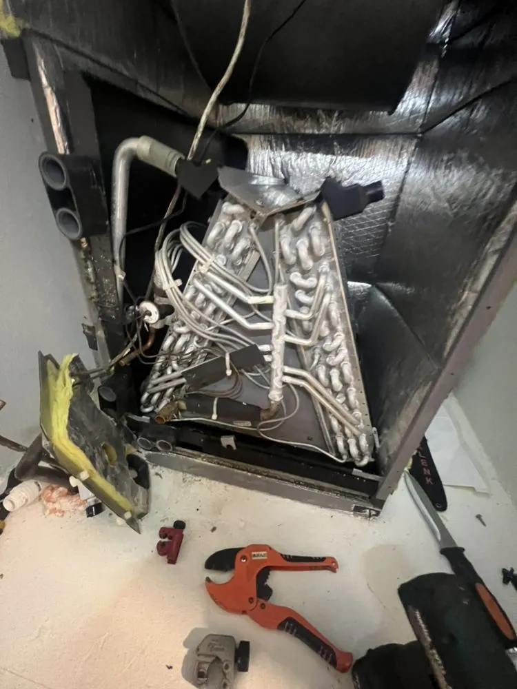 Slide of AC All Stars Ernst