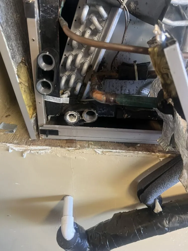 Slide of AC All Stars Ernst