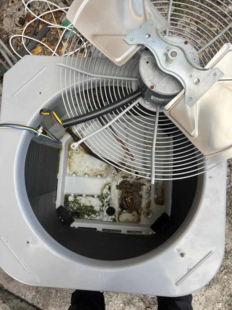 Slide of AC All Stars Ernst