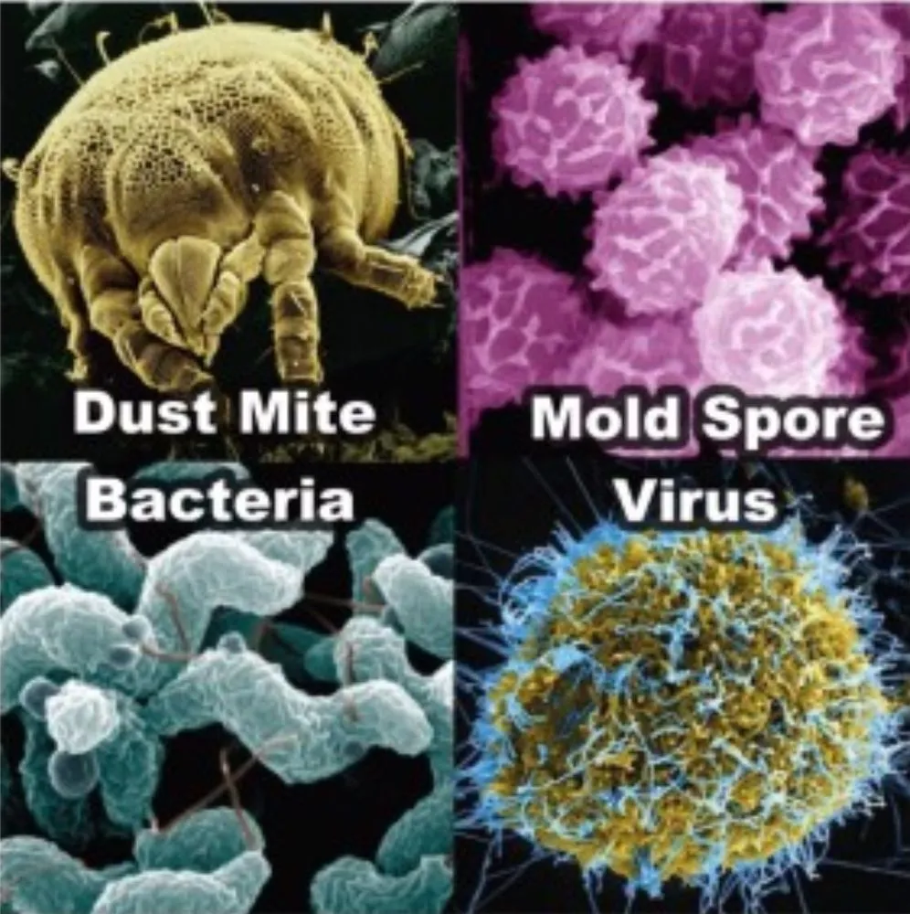 Slide of AC All Stars