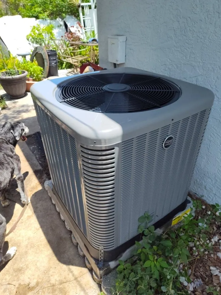 Slide of AC All Stars