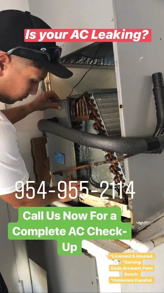 Slide of AC ALL STARS