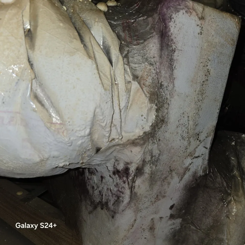 Slide of Ac Assurance Cooling And Heating