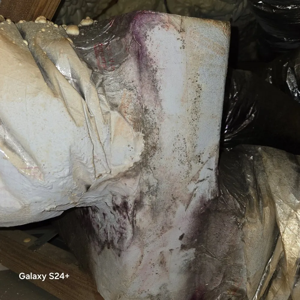 Slide of Ac Assurance Cooling And Heating