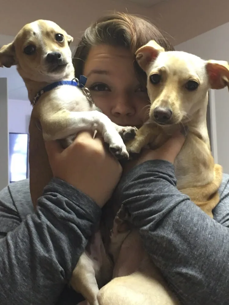 Slide of AC Breeze Cooling and Heating