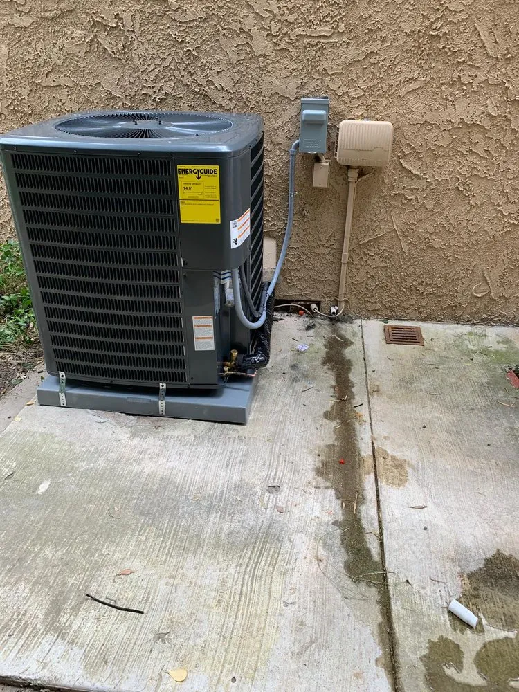 Slide of AC Masters Green