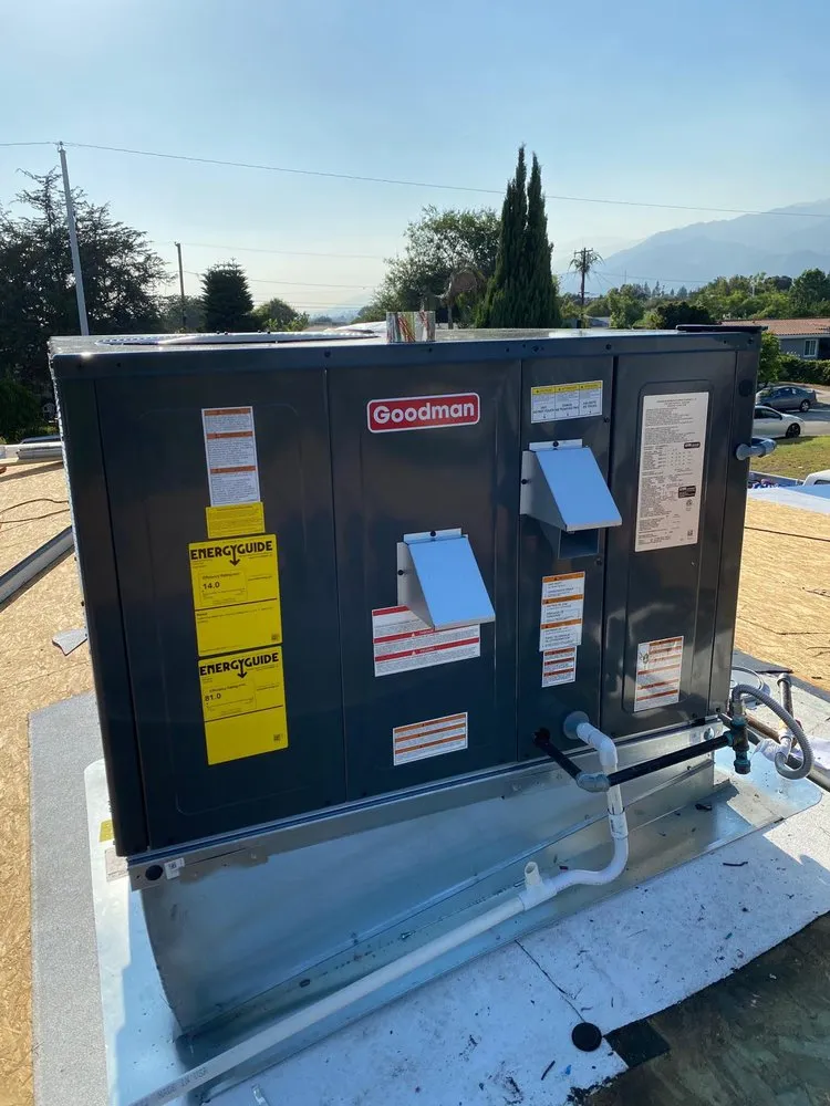 Slide of AC Masters Green