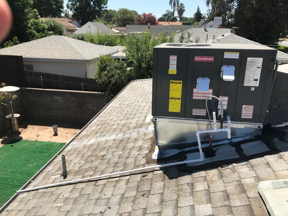 Slide of AC Masters Green