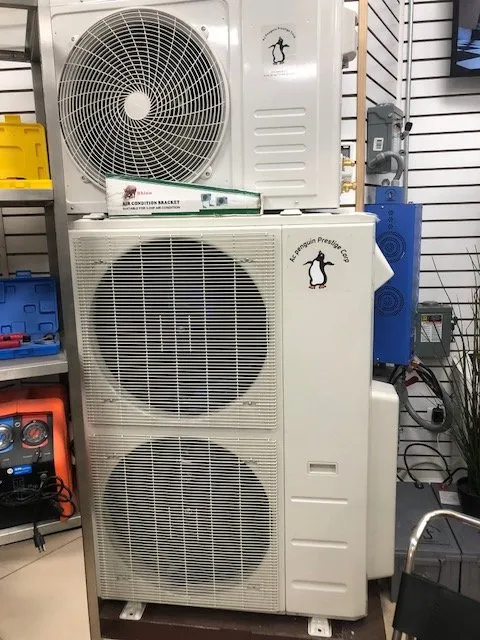 Slide of AC Penguin Prestige