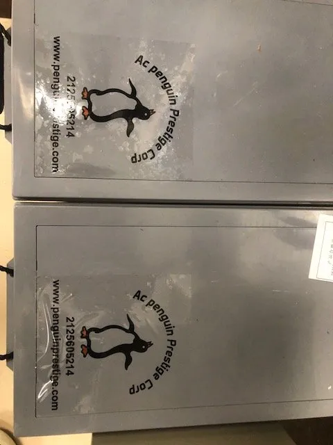 Slide of AC Penguin Prestige