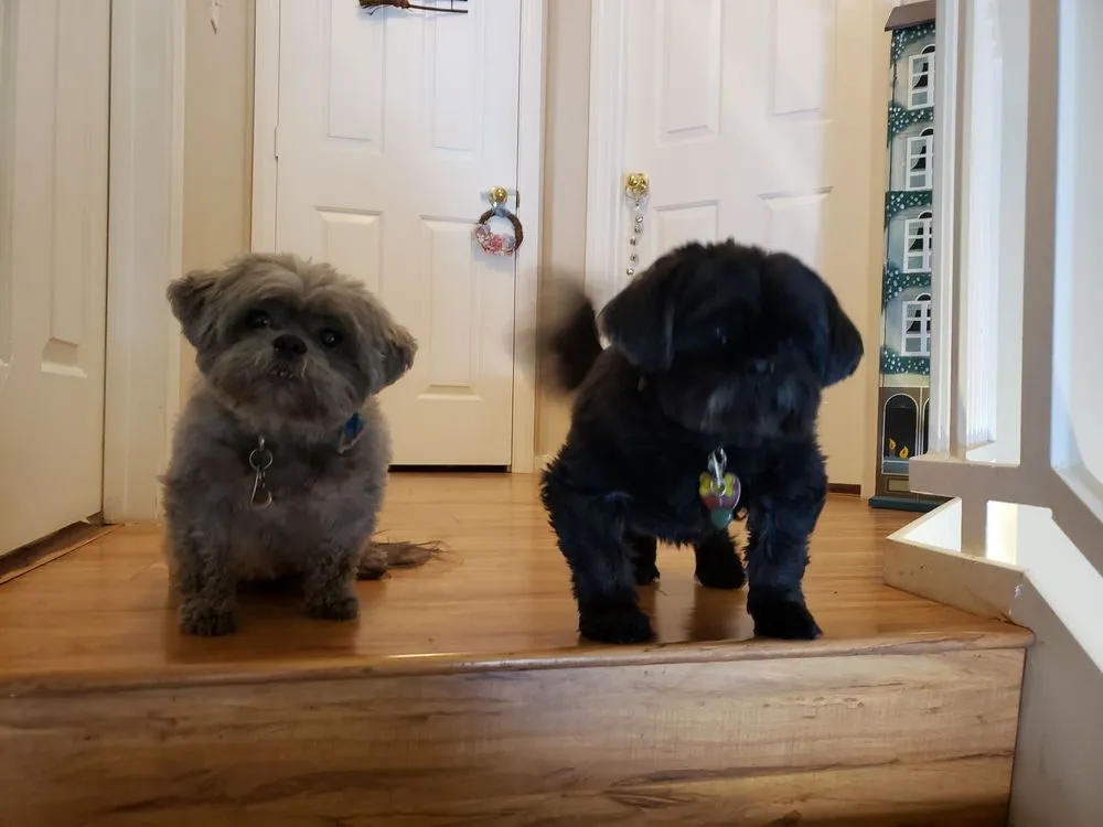 Slide of AC Plus Heating & Air Conditioning Service