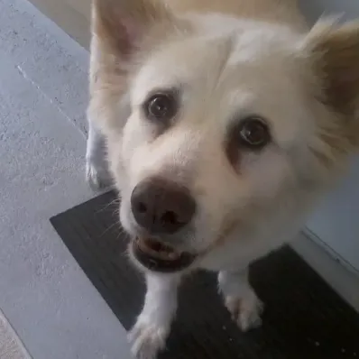 Slide of A/C Service Daytona 386