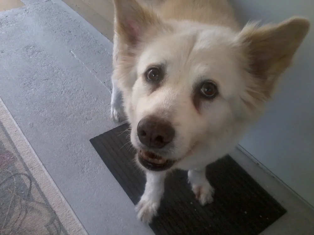 Slide of A/C Service Daytona 386