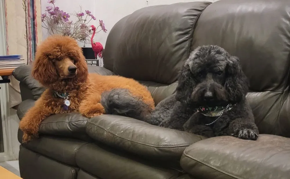 Slide of A/C Technologies