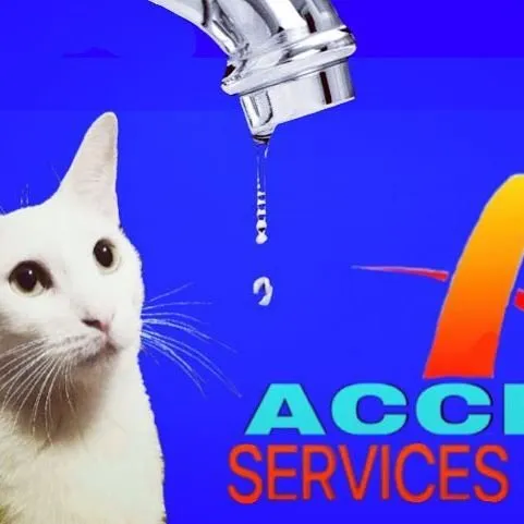 Slide of Access Services Group