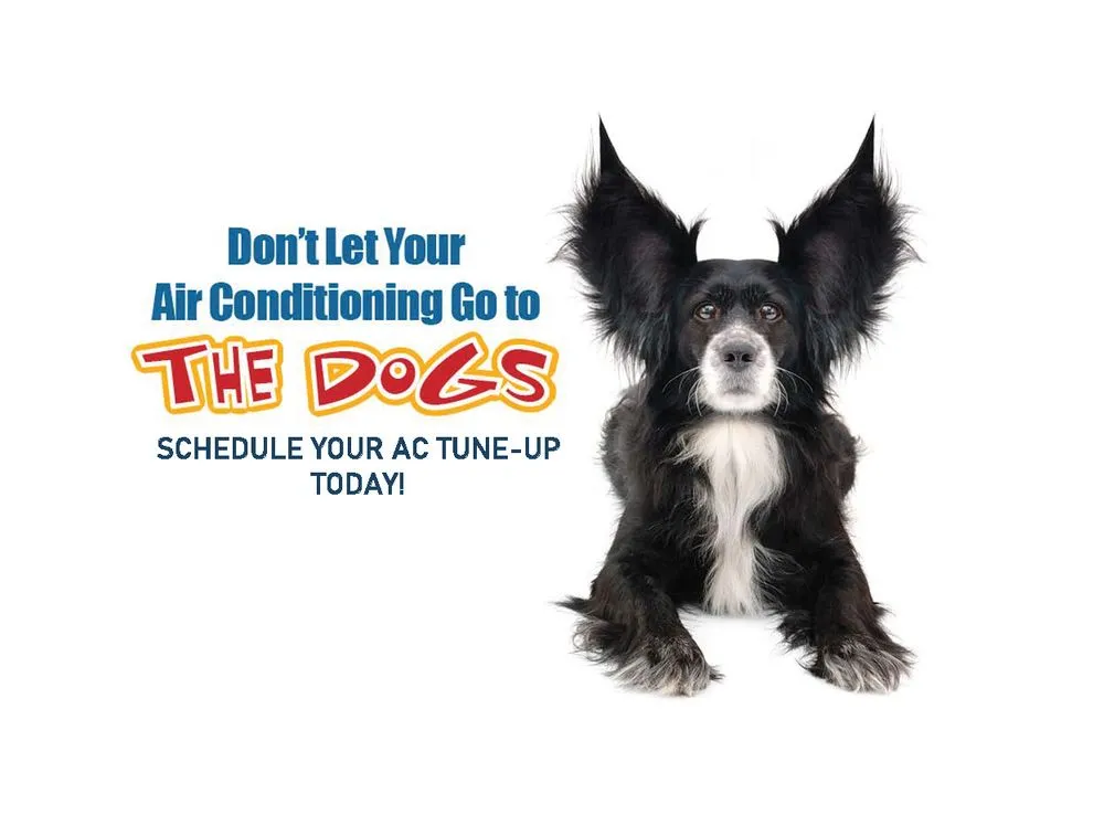 Slide of Accurate Baker Elman