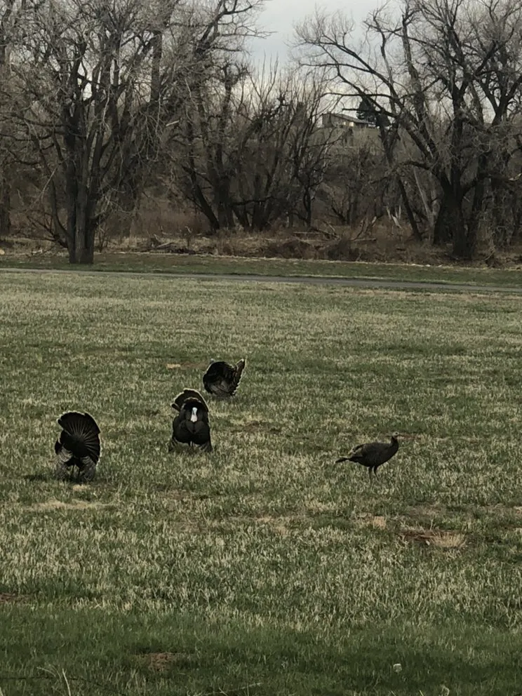 Slide of Ace Hi Plumbing & Heating & Air