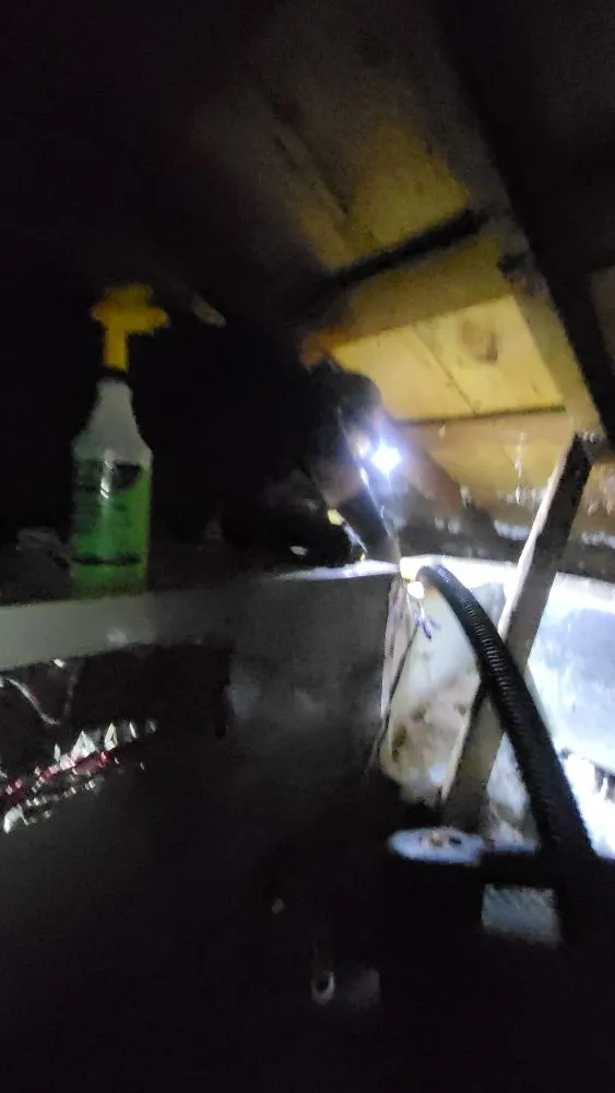 Slide of Ace Service And Repair