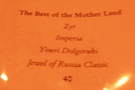 Slide of ACE Service Experts