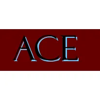 Slide of Ace Swimming Pools & Appliance Repair