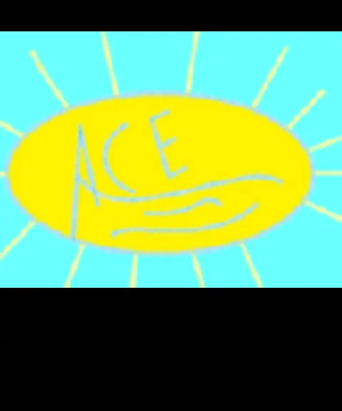 Slide of Ace Swimming Pools & Appliance Repair