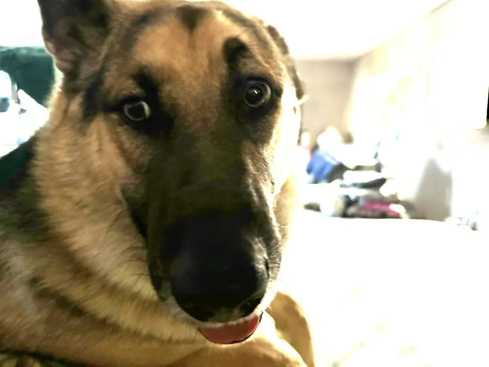 Slide of ACES Heating & Cooling