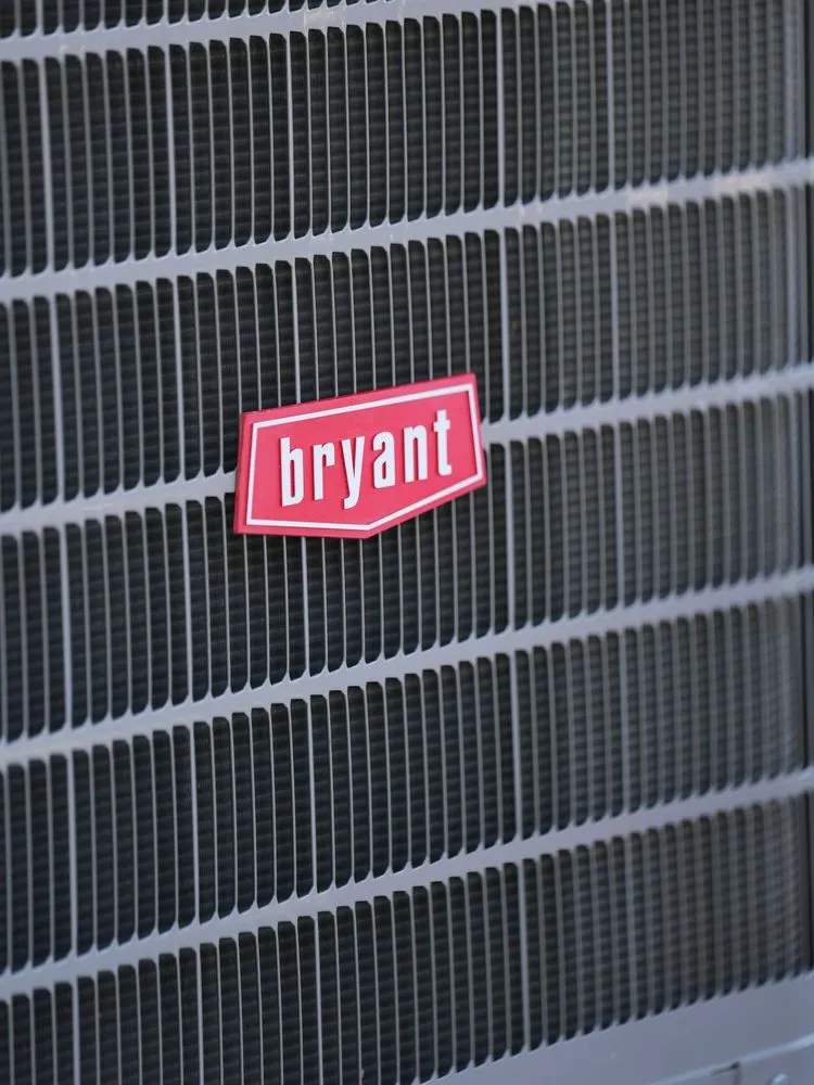 Slide of Ackerman Nolan