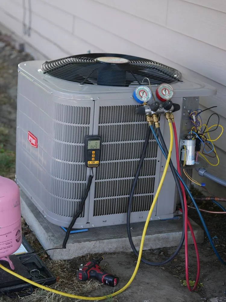 Slide of Ackerman Nolan