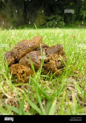 ACR Air Conditioning & Heating Logo