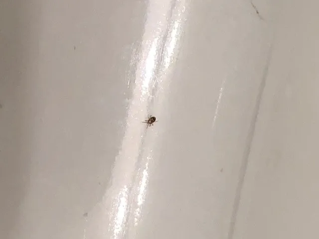 Slide of Action Duct Cleaning